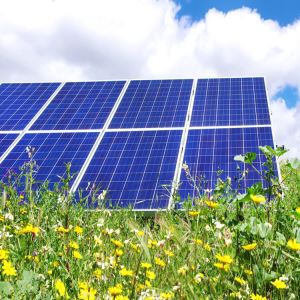 苏州专业回收太阳能电池板