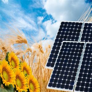 山东太阳能板回收 苏州鑫晶威新能源科技有限公司